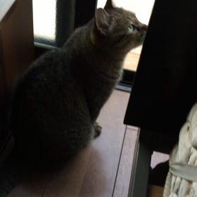 ついに起きたか？の画像