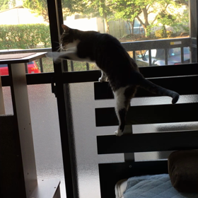 おはよー2の画像