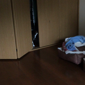 入ってみる〜の画像