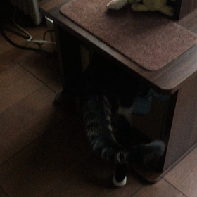 入室の画像