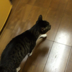 朝 2の画像