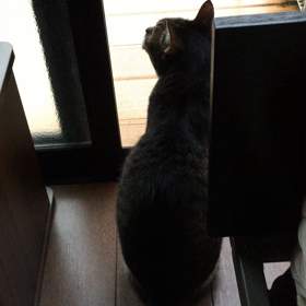 並んで確認〜の画像