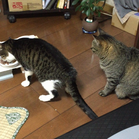順番待ちの画像