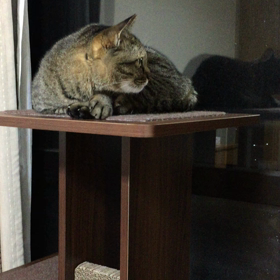 夜〜3の画像