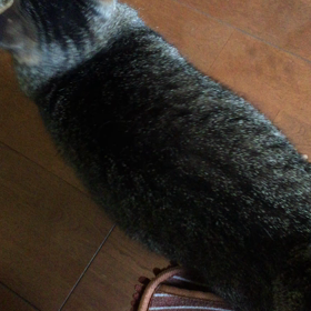 そのうえ・・・の画像