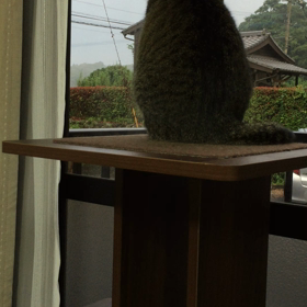 朝ごはん後〜の画像