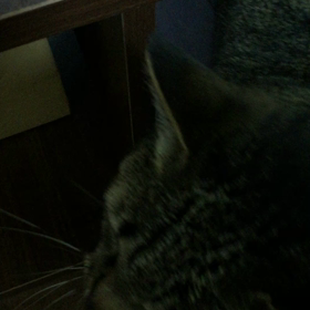 座った。の画像