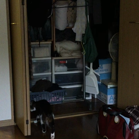 続々 いざ冒険の旅への画像