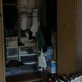 続 いざ冒険の旅への画像