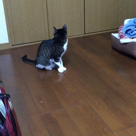 ん？まだ食べるんか・・の画像