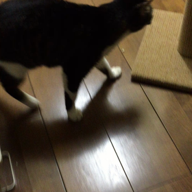 帰りました。の画像