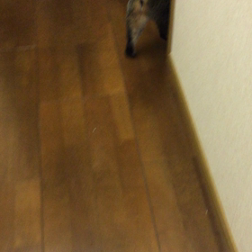何かなぁ〜？ 1の画像