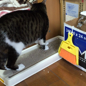 ただいま〜2の画像