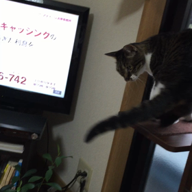 振ってみた7の画像