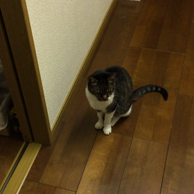 ただいま〜の画像
