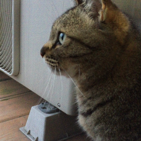 ただいま〜 こっちは相変わらずやねの画像