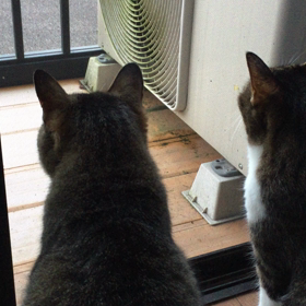 からの、仲良しさんの画像