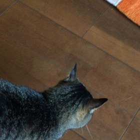 そのあと・・・の画像