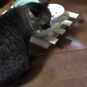 とりあえずの晩ご飯の画像