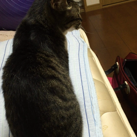 起きてます。の画像