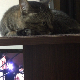 夜〜 こっちもやはり・・・の画像