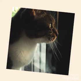 作ってみたの画像