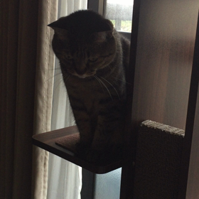 きょうは起きてます。の画像