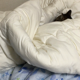 寝ました。の画像