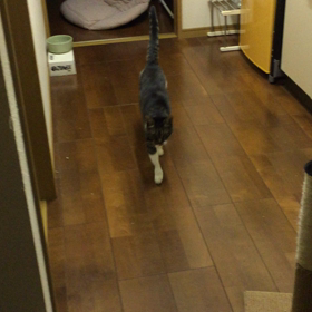 ただいま〜の画像