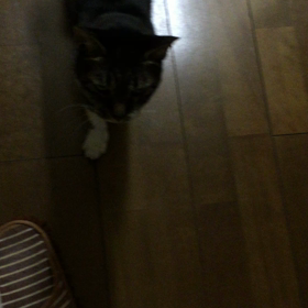 ただいま〜の画像