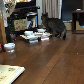 TV見ながらの晩ご飯の画像