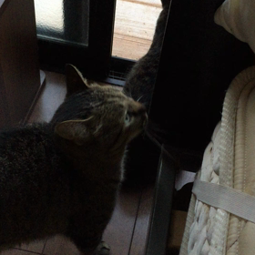 順番待ち〜 2の画像