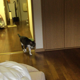 朝〜5の画像