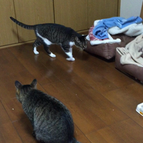 食べ終わったから・・・の画像