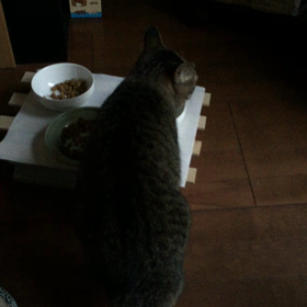 朝ごはん〜の画像
