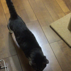 ただいま〜 遅くなってゴメンね〜の画像