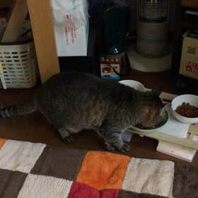 朝〜7の画像