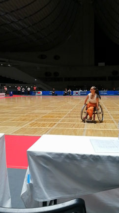 パラダンス世界大会④仰天のパフォーマンスの記事動画