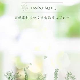 2024/06/07の画像