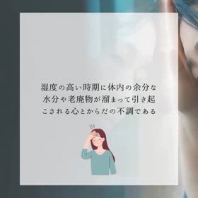2024/06/21の画像