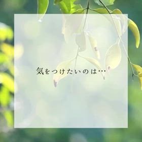 2024/06/01の画像