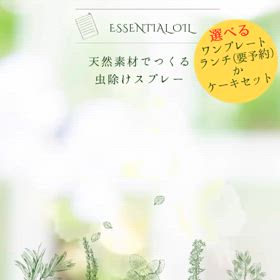 2024/06/26の画像