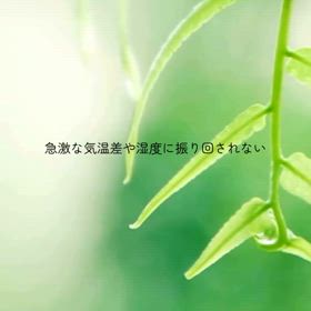 2024/05/31の画像