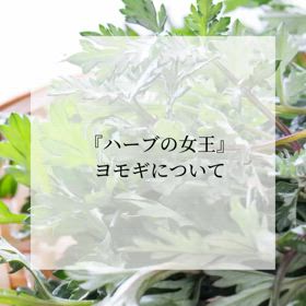 2024/06/26の画像