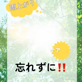 2024/05/29の画像