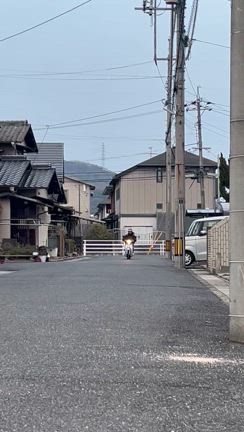 とり　リトルカブで横浜から帰省するの巻の記事動画