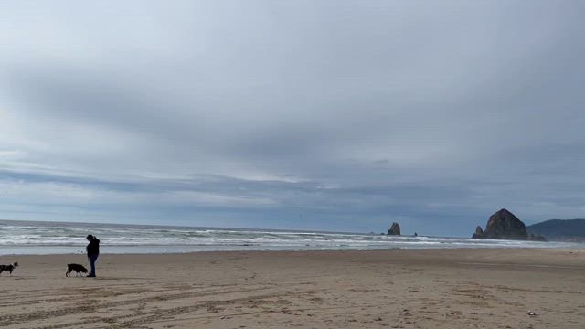 なみまる　ポートランドへ行く　その3  〜One day trip  to キャノンビーチ〜の記事動画