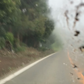 おはようございます！の画像