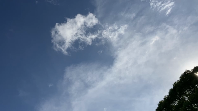 風の祓いの記事動画