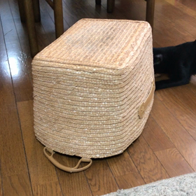 バスケットおもしろい？の画像